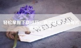 轻松掌握下载技巧，高效快速下载每片资源的方法！