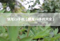 骁龙450手机（骁龙450手机大全）