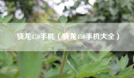 骁龙450手机（骁龙450手机大全）