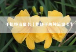 手机纯流量卡（物联手机纯流量卡）