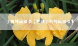 手机纯流量卡（物联手机纯流量卡）