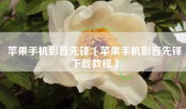 苹果手机影音先锋（苹果手机影音先锋下载教程）
