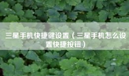 三星手机快捷键设置（三星手机怎么设置快捷按钮）