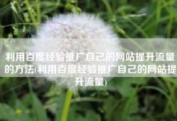 利用百度经验推广自己的网站提升流量的方法(利用百度经验推广自己的网站提升流量)