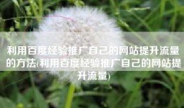利用百度经验推广自己的网站提升流量的方法(利用百度经验推广自己的网站提升流量)