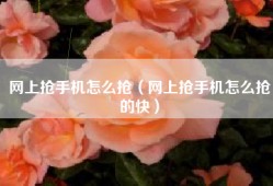 网上抢手机怎么抢（网上抢手机怎么抢的快）