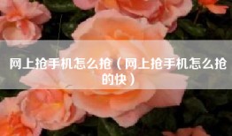 网上抢手机怎么抢（网上抢手机怎么抢的快）