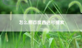怎么用百度直达号搜索
