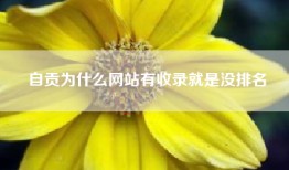 自贡为什么网站有收录就是没排名