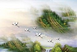美诺洗衣机维修服务中心《2024汇总》 河南内黄：小辣椒“映红”富民路