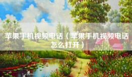 苹果手机视频电话（苹果手机视频电话怎么打开）