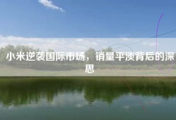 小米逆袭国际市场，销量平淡背后的深思