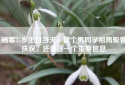 杨幂33岁生日当天，这个男同学组局聚餐庆祝，还暴露一个重要信息