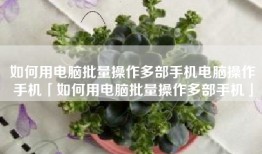 如何用电脑批量操作多部手机电脑操作手机「如何用电脑批量操作多部手机」