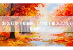 怎么样给手机刷机（秒懂手机怎么给手机刷机）