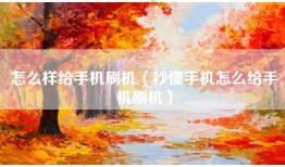 怎么样给手机刷机（秒懂手机怎么给手机刷机）