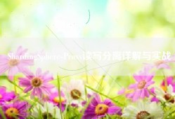ShardingSphere-Proxy读写分离详解与实战