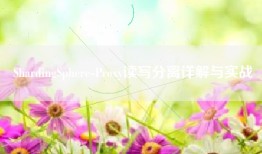 ShardingSphere-Proxy读写分离详解与实战