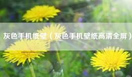 灰色手机纸壁（灰色手机壁纸高清全屏）