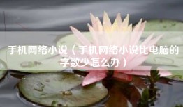 手机网络小说（手机网络小说比电脑的字数少怎么办）