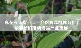 麻花豆传媒一二三产区观众群体分析：精准营销推动传媒产业发展