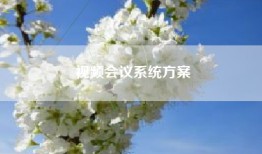 视频会议系统方案