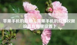 苹果手机的应用（苹果手机的应用权限设置在哪里设置）