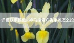 详情联系这里uc神马搜索广告引流怎么投