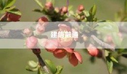 建信融通
