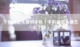下载微信头像到手机（手机微信头像怎么下载）