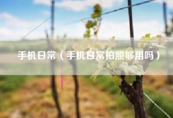 手机日常（手机日常拍照够用吗）