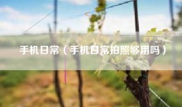 手机日常（手机日常拍照够用吗）