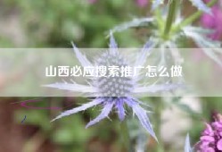 山西必应搜索推广怎么做