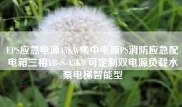 EPS应急电源45KW集中电源PS消防应急配电箱三相YB-S-45KW可定制双电源负载水泵电梯智能型