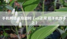 手机网络连接超时（wifi正常,但手机连不上）