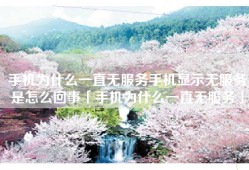 手机为什么一直无服务手机显示无服务是怎么回事「手机为什么一直无服务」