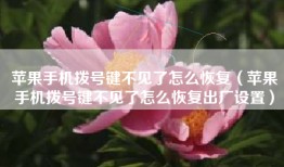 苹果手机拨号键不见了怎么恢复（苹果手机拨号键不见了怎么恢复出厂设置）