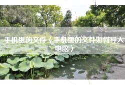 手机里的文件（手机里的文件如何导入电脑）