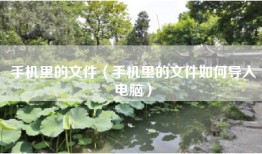 手机里的文件（手机里的文件如何导入电脑）