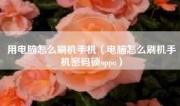 用电脑怎么刷机手机（电脑怎么刷机手机密码锁oppo）