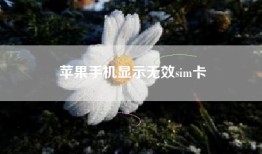 苹果手机显示无效sim卡