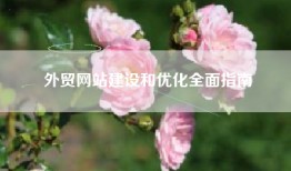 外贸网站建设和优化全面指南