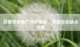 百度竞价推广开户渠道、费用及优缺点详解