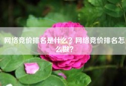 网络竞价排名是什么？网络竞价排名怎么做？