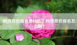 网络竞价排名是什么？网络竞价排名怎么做？