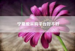 宁夏爱采购平台好不好