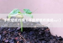手机壁纸咋换（手机壁纸咋换成mp4）