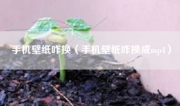 手机壁纸咋换（手机壁纸咋换成mp4）