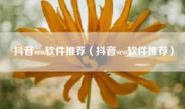 抖音seo软件推荐（抖音seo软件推荐）