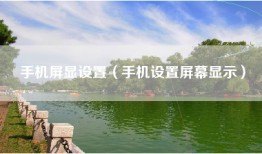 手机屏显设置（手机设置屏幕显示）